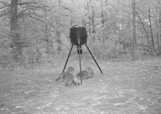 Dog Proof Coon Traps  Tennessee Hunting & Fishing Forum
