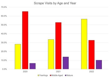 ScrapeAgeYear.jpg