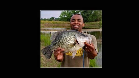 big_crappie.jpg