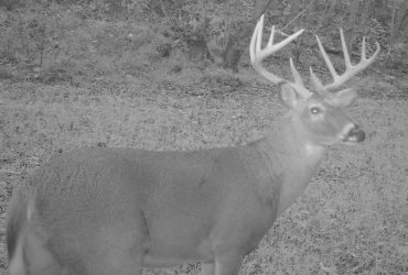 Buck2006n.jpg