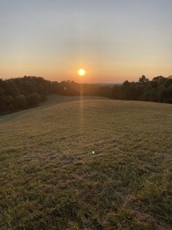 IMG_3731.jpeg