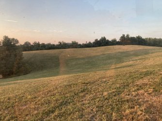 IMG_3729.jpeg