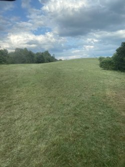 IMG_3715.jpeg