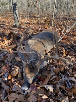 Buddys 15pt taken near Catoosa | Tennessee Hunting & Fishing Forum