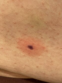 IMG_0988.jpeg