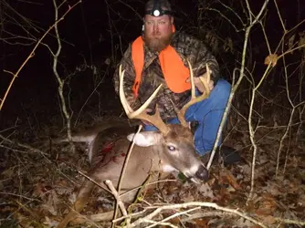 buck on the ridge.webp