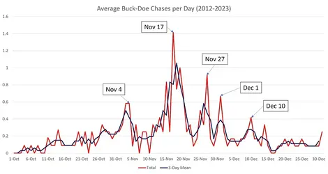 Daily Chases 3.webp