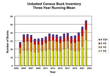 BuckPop3Yr2.webp