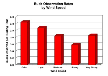 BucksWind2.webp