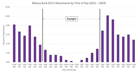 MatureBuckTimes2.webp