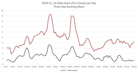 OlderBuckAcorns.webp