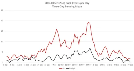 2024OlderBucks.webp