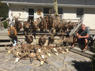 2019 deer mounts.jpg