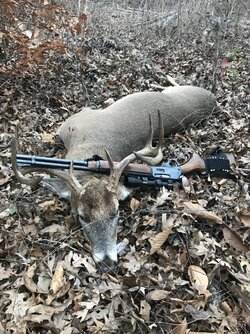 3030deer.jpg