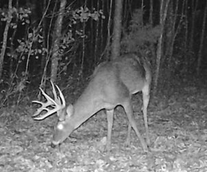 Big Buck Night 2~2.JPG