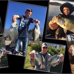 crappie_collage.jpg