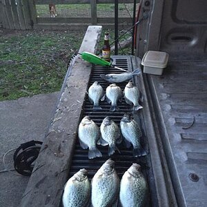 crappie7.JPG