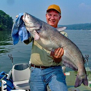 01012024_why_catfish_Simms1.jpg