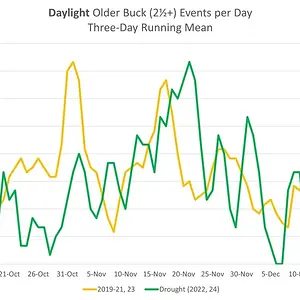 Media 'DailyDaylightOlder.webp' in category 'Trail Cams'