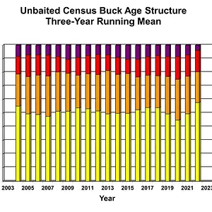 BuckAgeStrctr3y3.webp