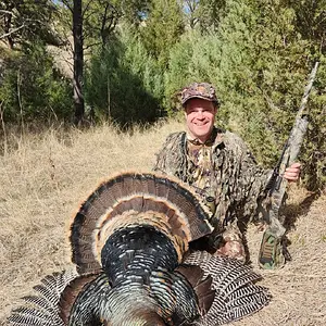 Media 'Screenshot_20250421_212912_Gallery.webp' in category 'Turkey Hunting'