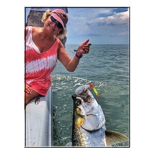 venice_tarpon9a.jpg