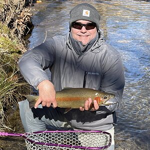 Day on a stream