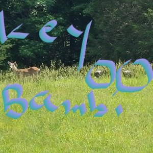 May 21 2023 deer visit turkey videos 148.jpg